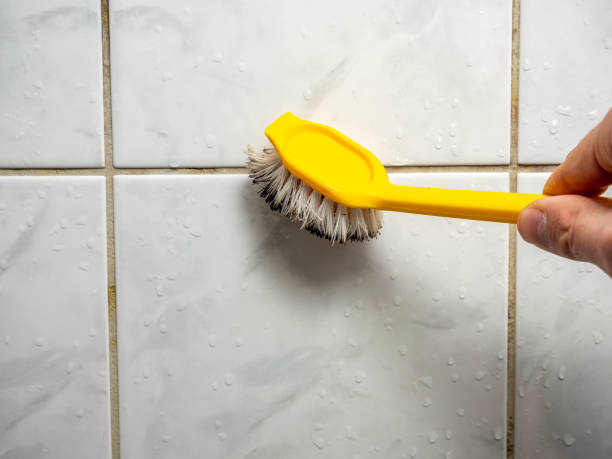 Certified Mold Removal in Laymantown, VA
