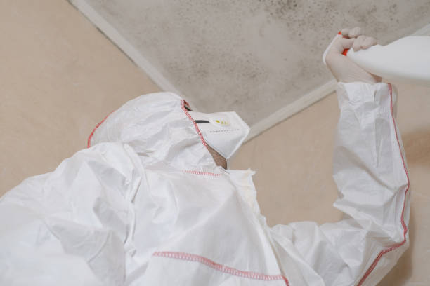 Best Office Mold Removal Services  in Laymantown, VA