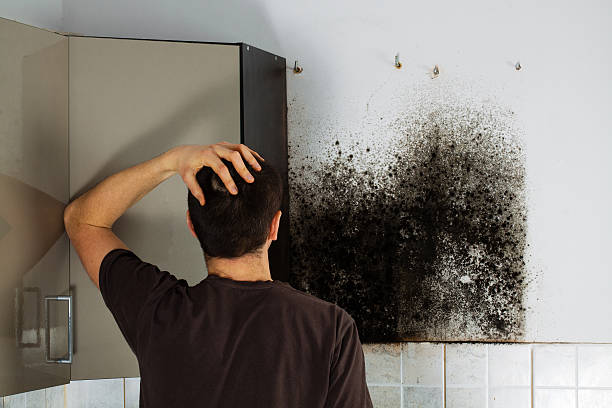 Best Crawl Space Mold Removal  in Laymantown, VA